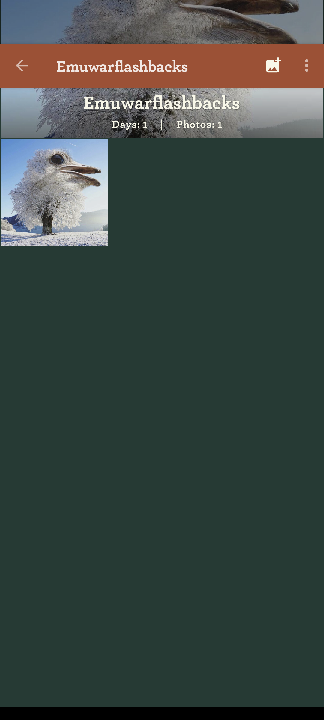 Screenshot_20220113-070912