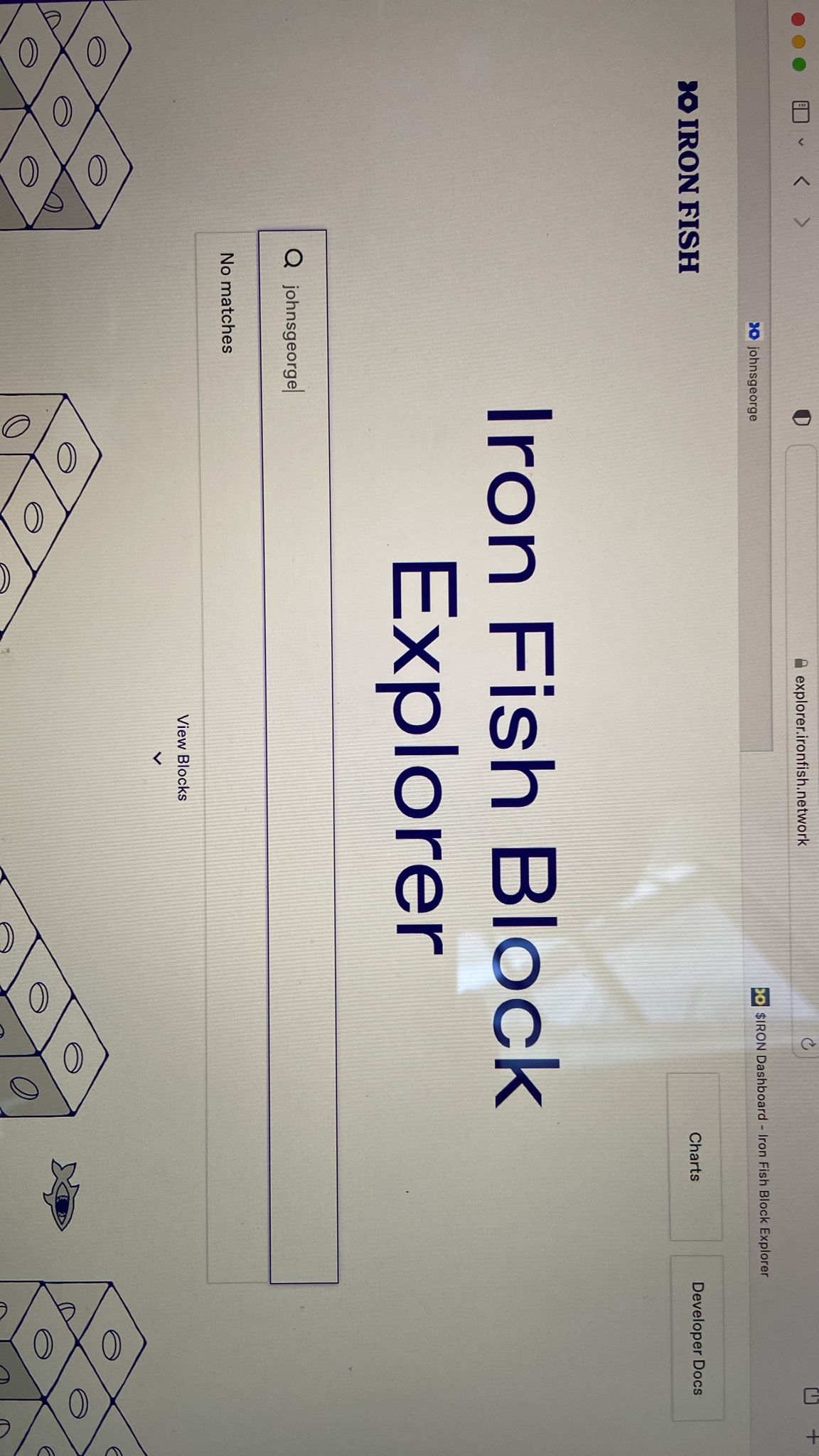 Search with legit graffiti in explorer search box returns no matches