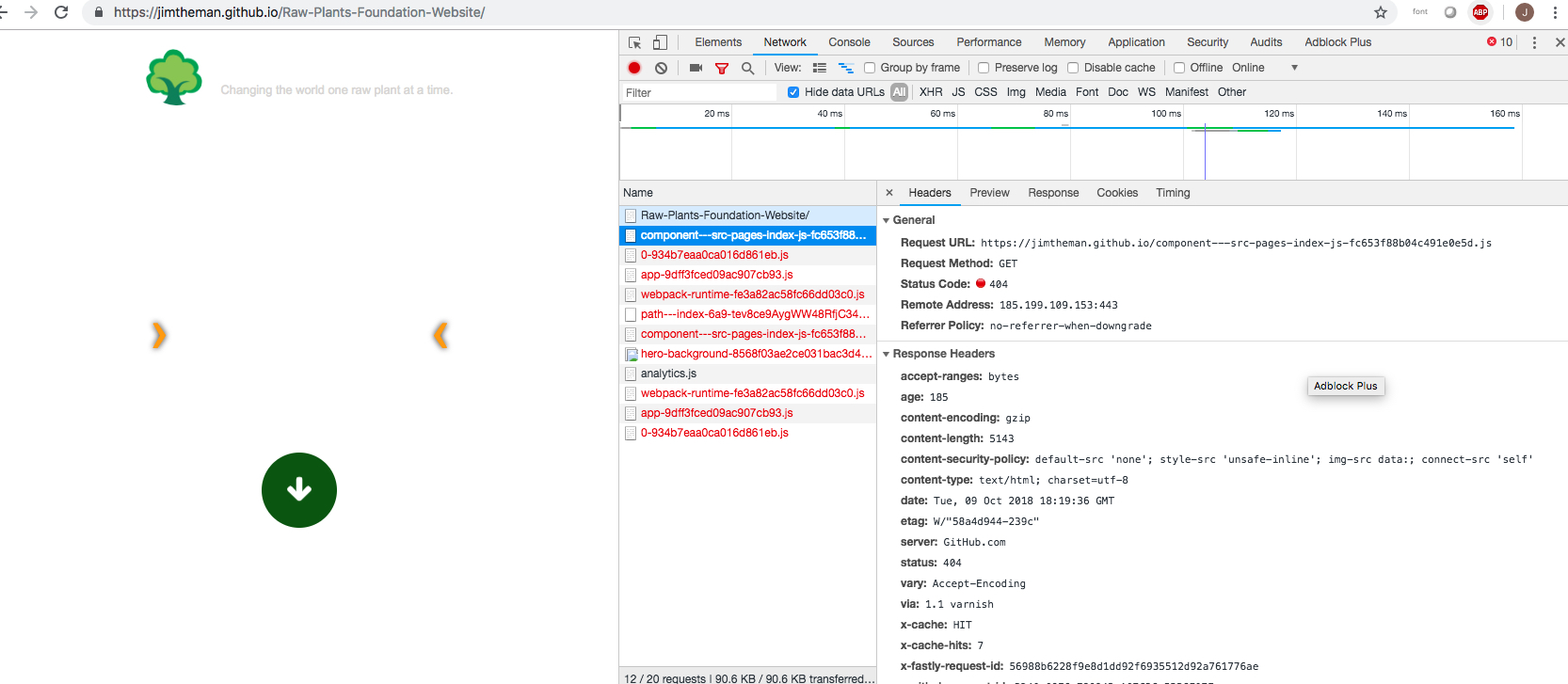 raw_plants_foundation