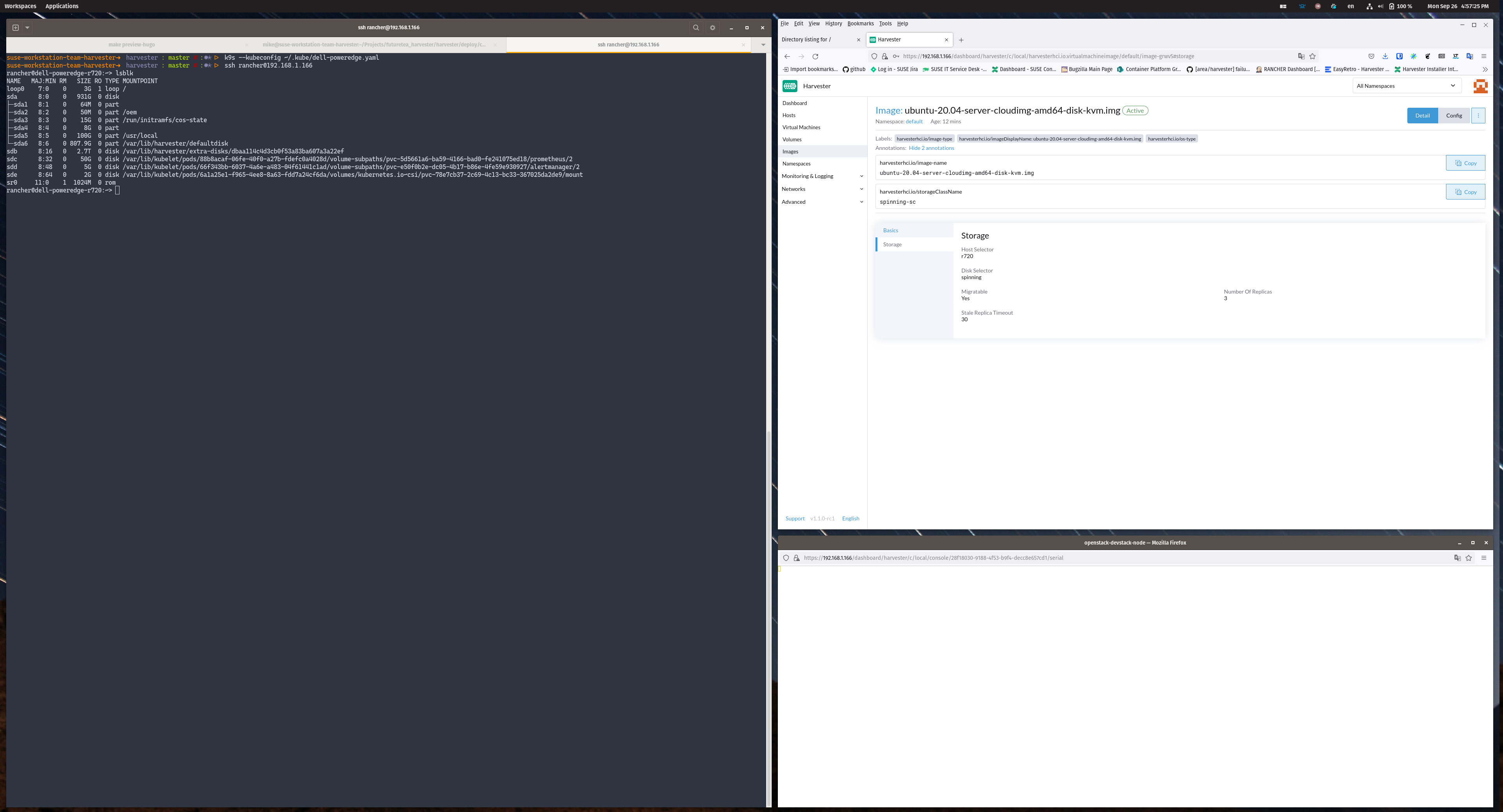 [BUG] Node Disk Tags Go Missing At Restart Of Node · Issue #2832 ...