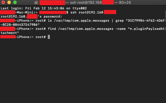 Screen Shot 2021-02-12 at 3 44 56 PM
