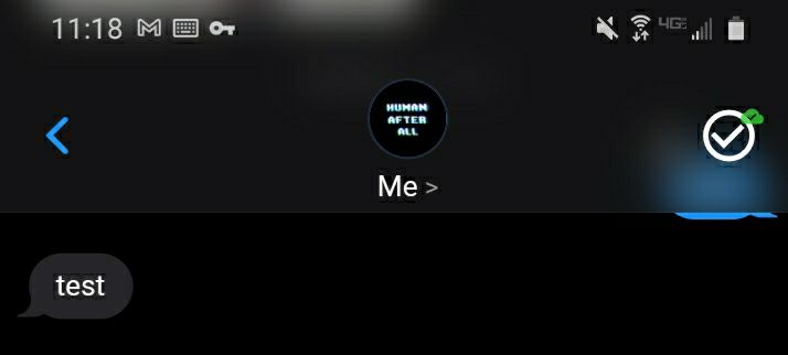 [0.1.16 rc 3] The in-chat connection indicator intersects with the mark ...