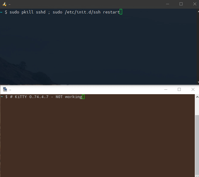 KiTTY is not accepting keyboard input when reconnecting · Issue 268