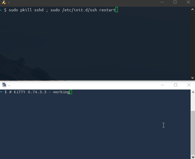 KiTTY is not accepting keyboard input when reconnecting · Issue 268