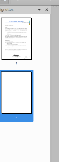 PDF export crashes on one page · Issue #2556 · xournalpp/xournalpp · GitHub