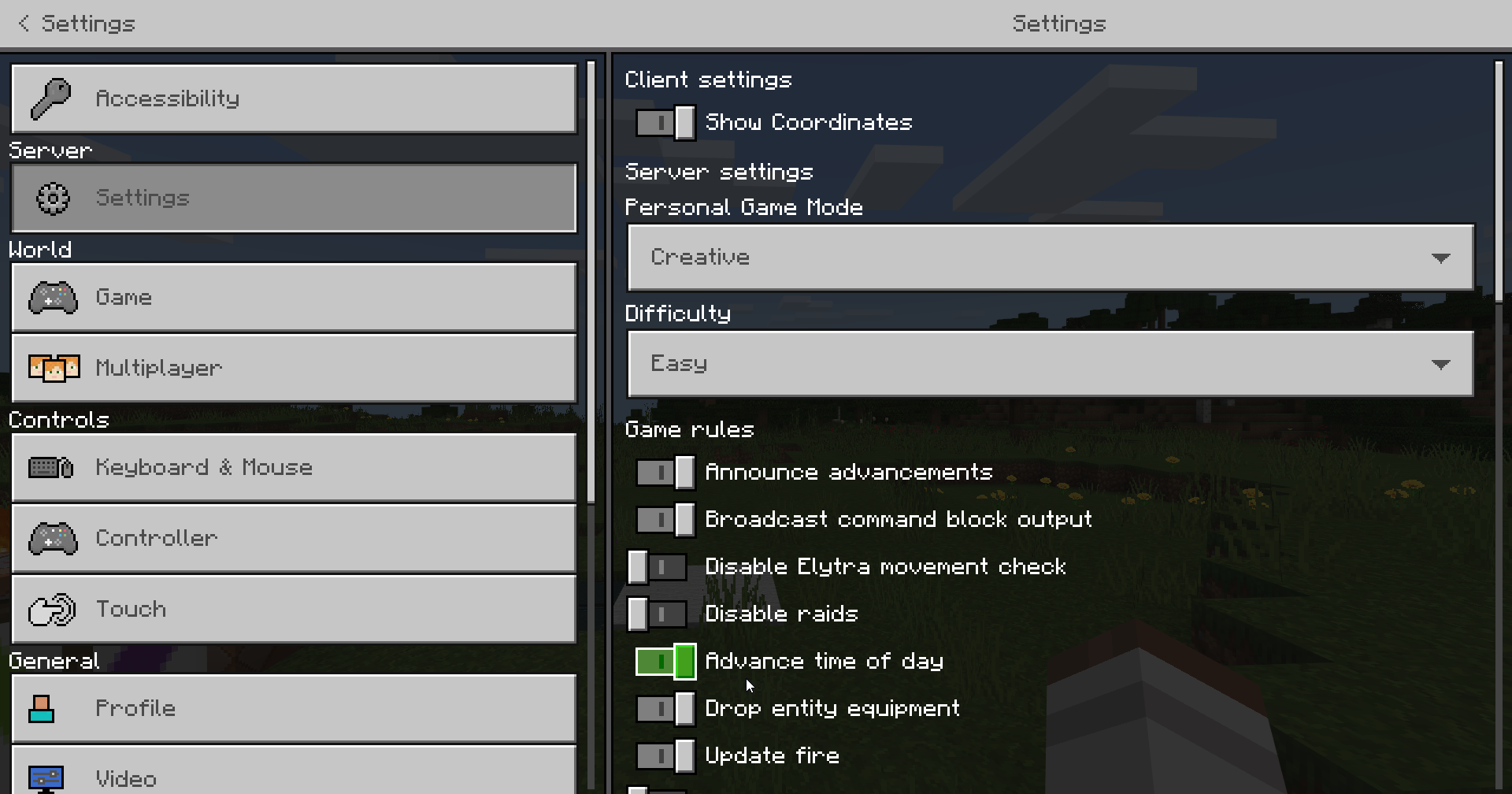Add support for client side settings by rtm516 · Pull Request 1035