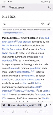 firefox bug