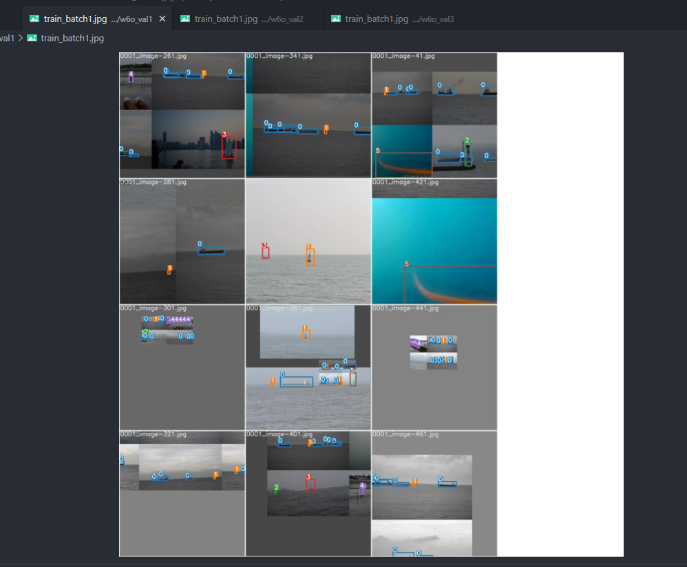 About the visualization images of dataset are same in different ...