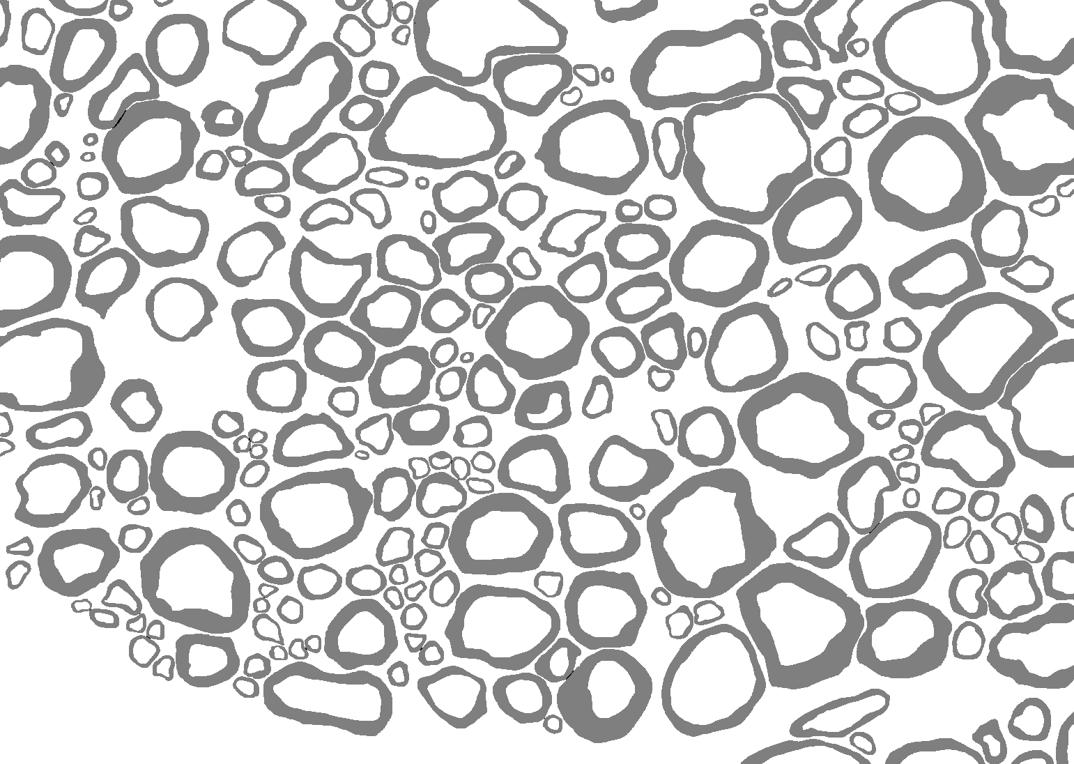FSLeyes Fill Axons Different Behavior In Mac Vs Linux Issue 343 fsleyes-fill-axons-different-behavior-in-mac-vs-linux-issue-343