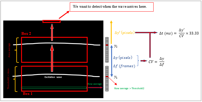 GitHub - younesvalibeigi/Hybrid-Cardiac-Model