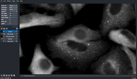 GitHub - nitinsai20/Image-based-single-cell-profiling-of-autophagy ...
