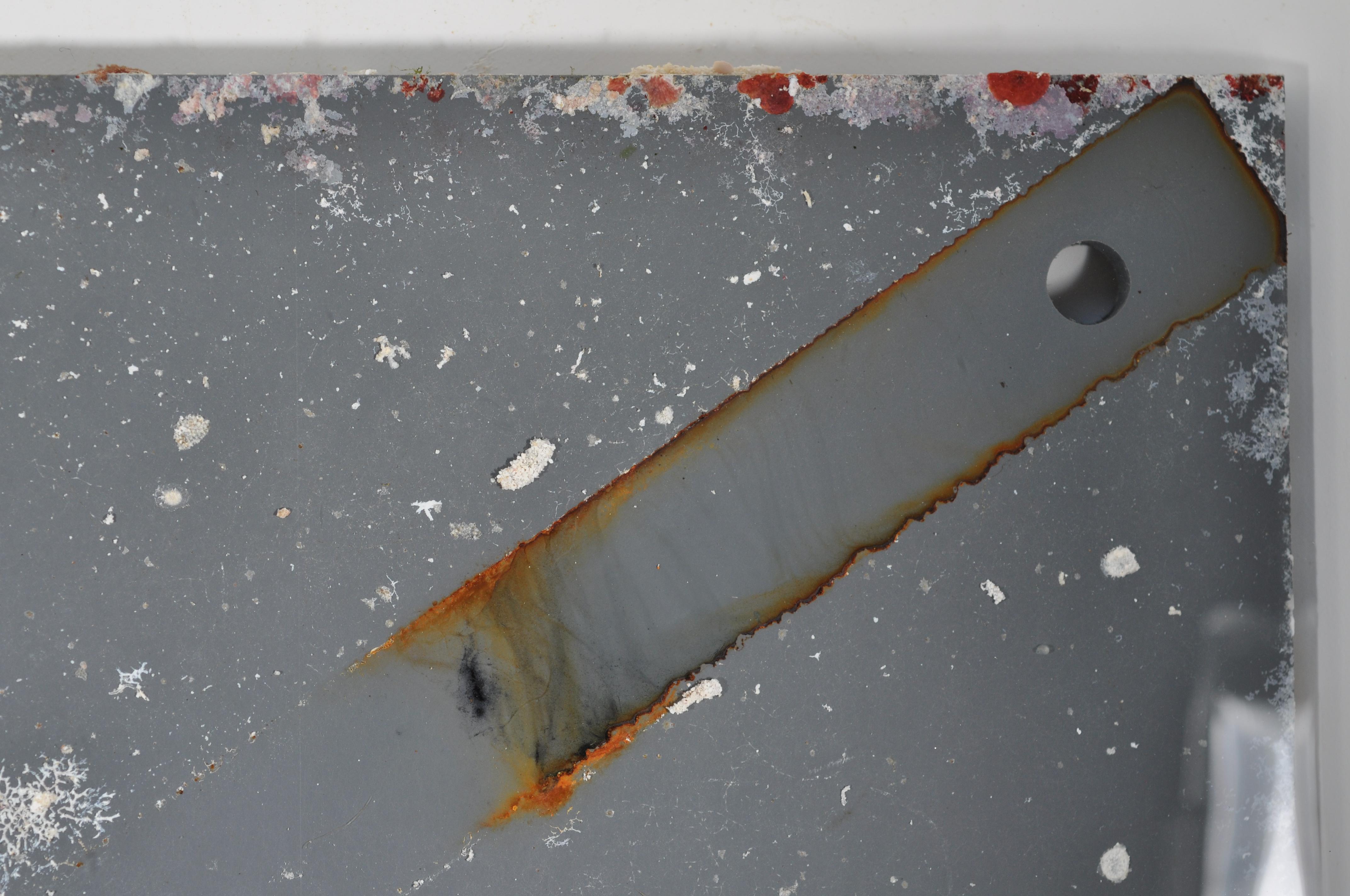 PLATE_FFS-12_2013_A_005