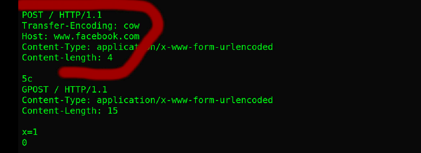There Is Issue In Nuclei While Sending Raw HTTP · Issue #501 ...