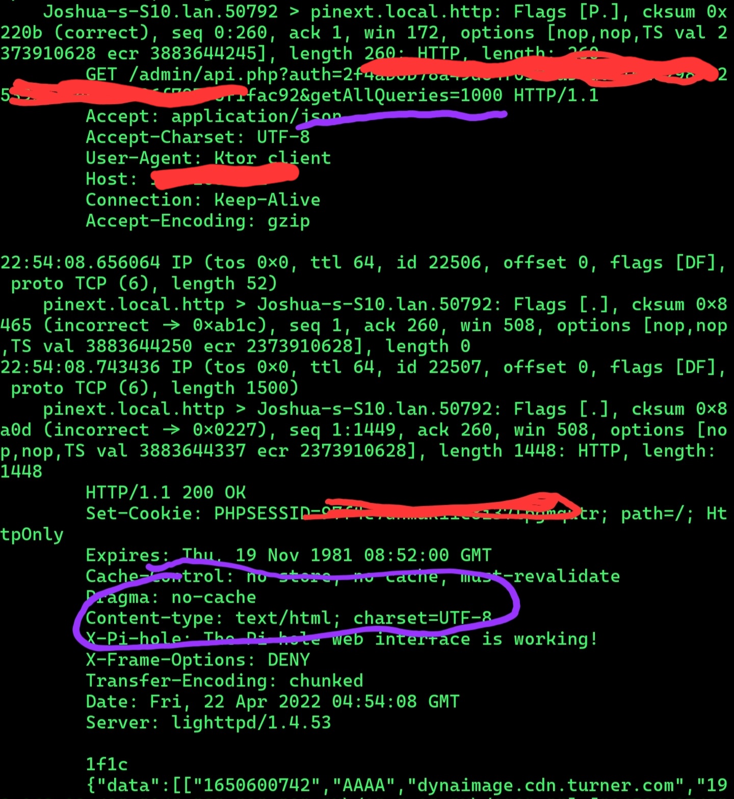 API returning content type html/text · Issue #2178 · pi-hole/web · GitHub