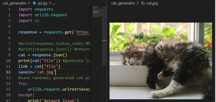 GitHub - steveny1215/cat_generator: Generates a random picture of a cat ...