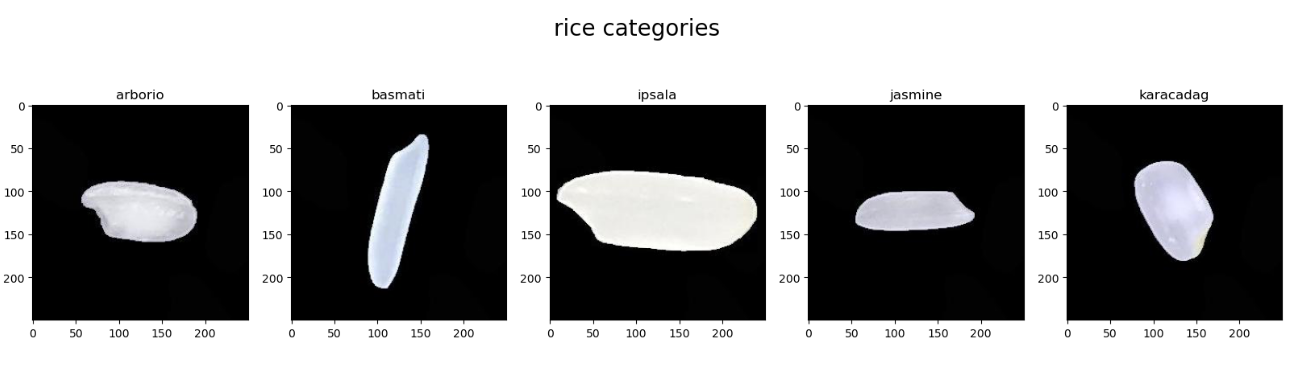 GitHub - BaSma99/Rice_Images_Classification
