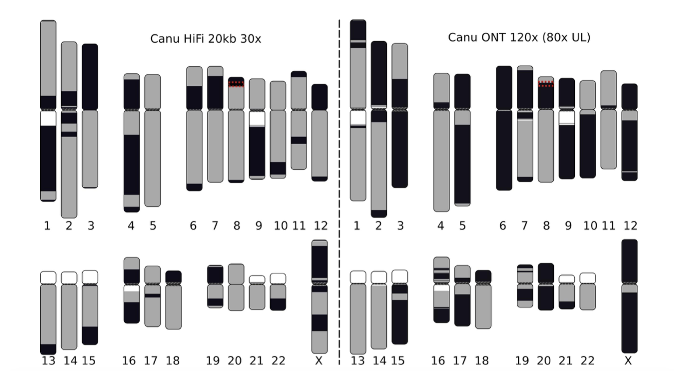 Visual Assembly · Issue #1888 · marbl/canu · GitHub