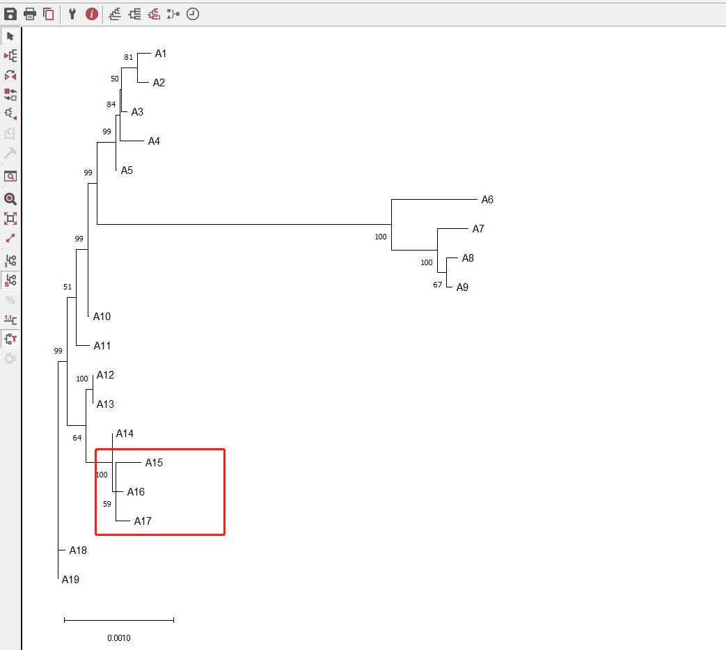 ggtree绘制mega生成的newick · Issue #340 · YuLab-SMU/ggtree · GitHub