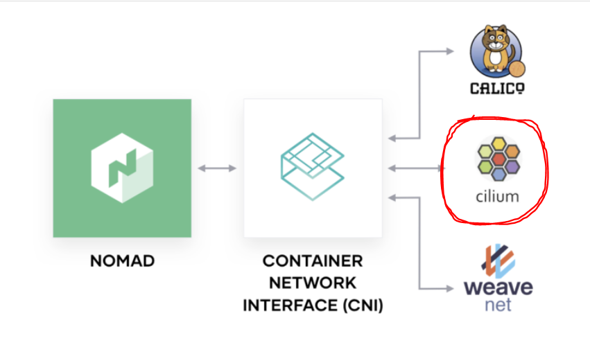 Can any one explain how would i use Project Cilium for CNI in my nomad ...
