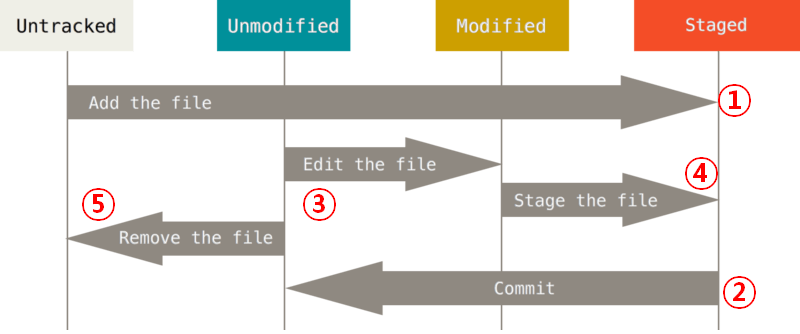 file lifecycle