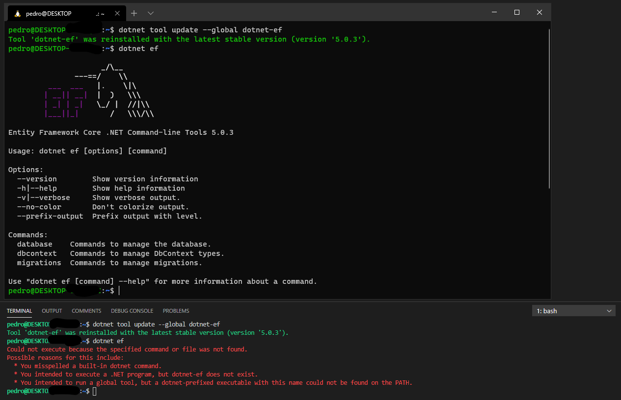 [FYI] ef tools on WLS remote in VSCode terminal are not working · Issue ...