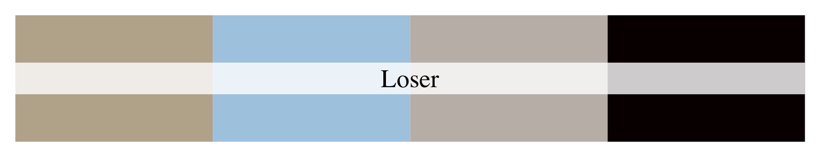 Loser