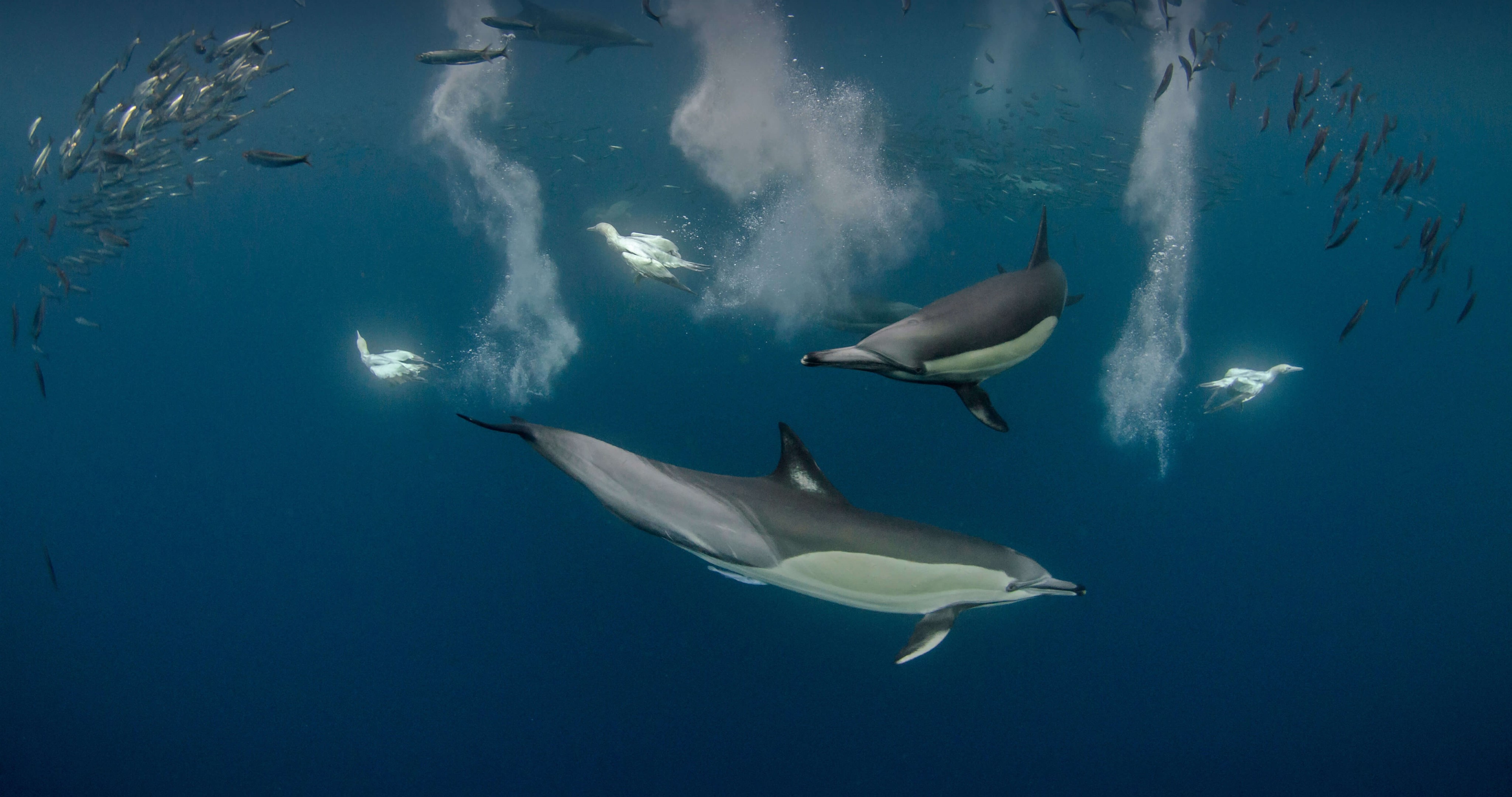 7f40b8e5e497b445804ee15f9f6c71f60bd227c3 (1)