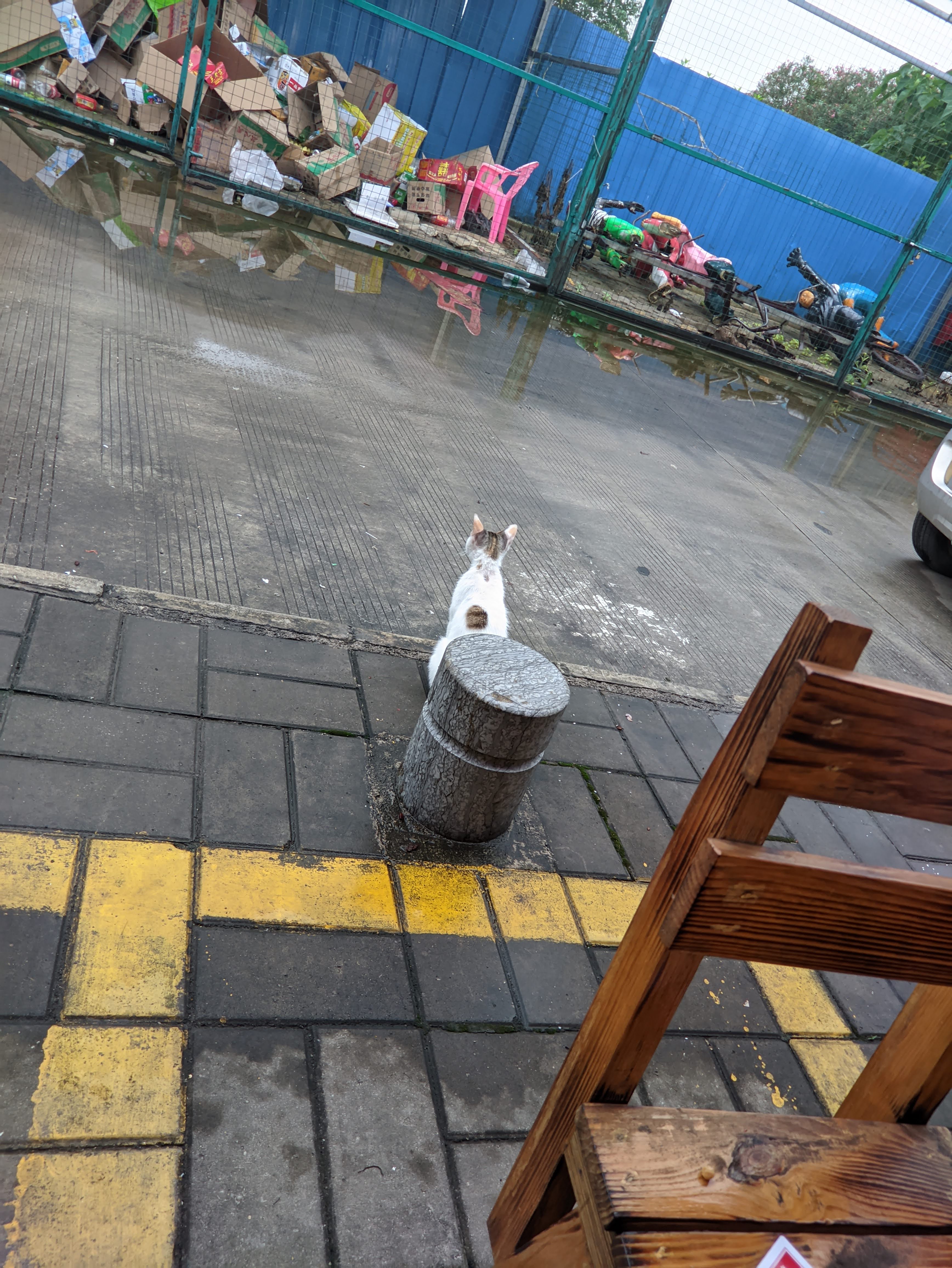 PXL_20210601_191522980