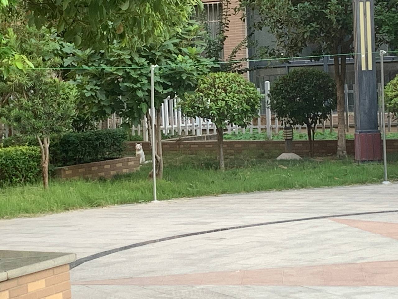 photo_2022-07-10_15-46-36