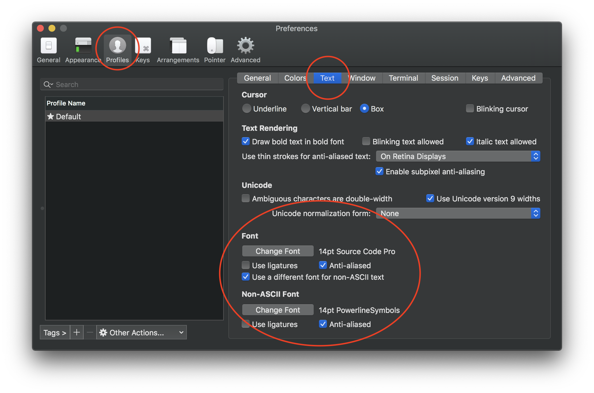 iTerm2 + Powerline font 