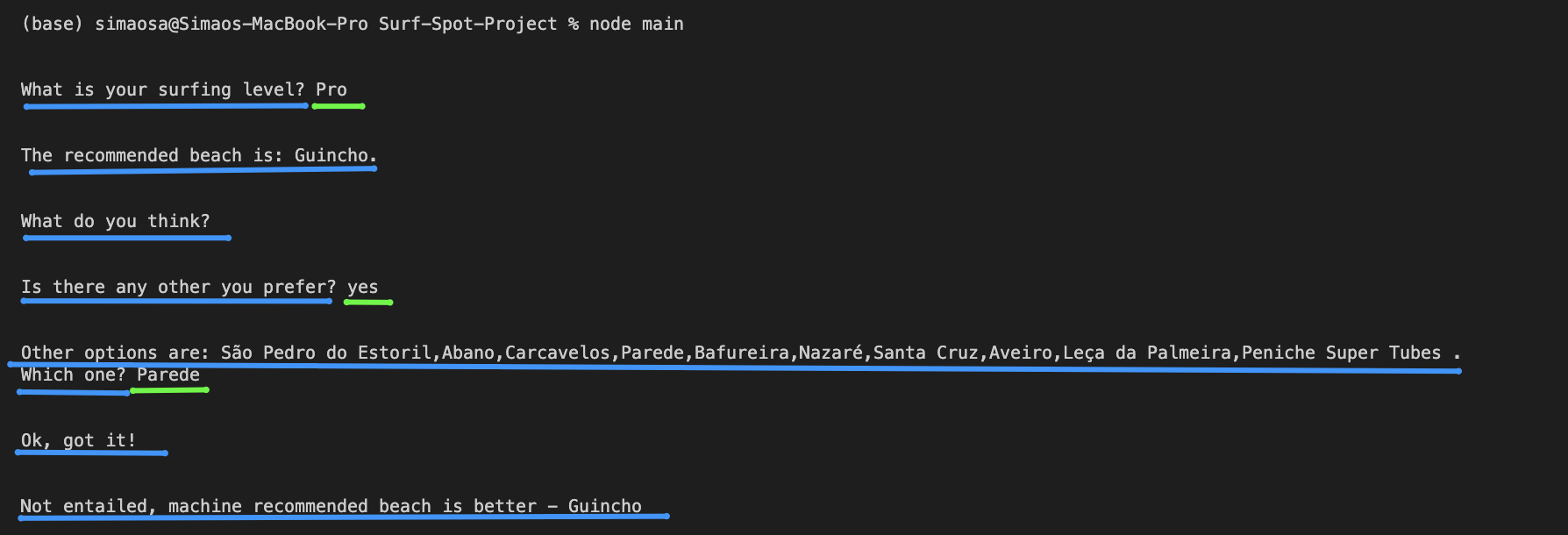 GitHub - SimaoBolota/Surf-Spot-Project: Project created for COS521 class