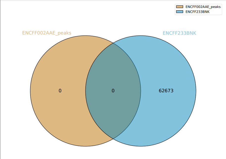 GitHub - ispopov1/hse_hw2_chip