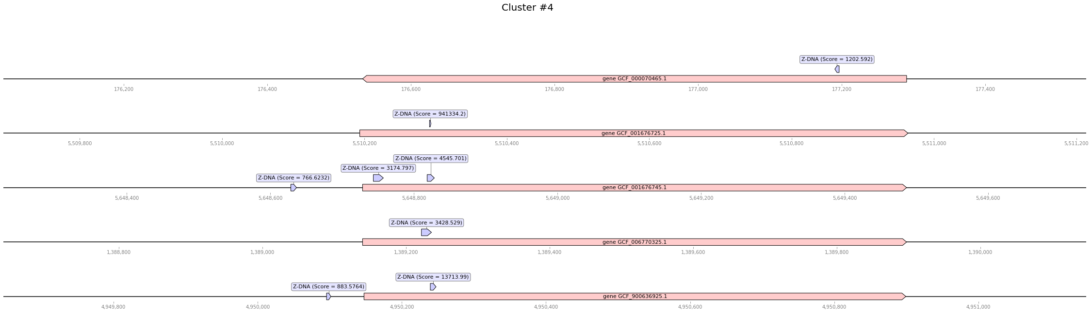 GitHub - ispopov1/hse22_project