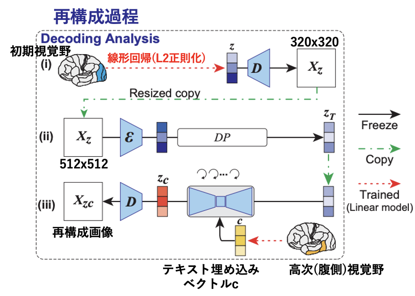 High-resolution image reconstruction with latent diffusion models from ...