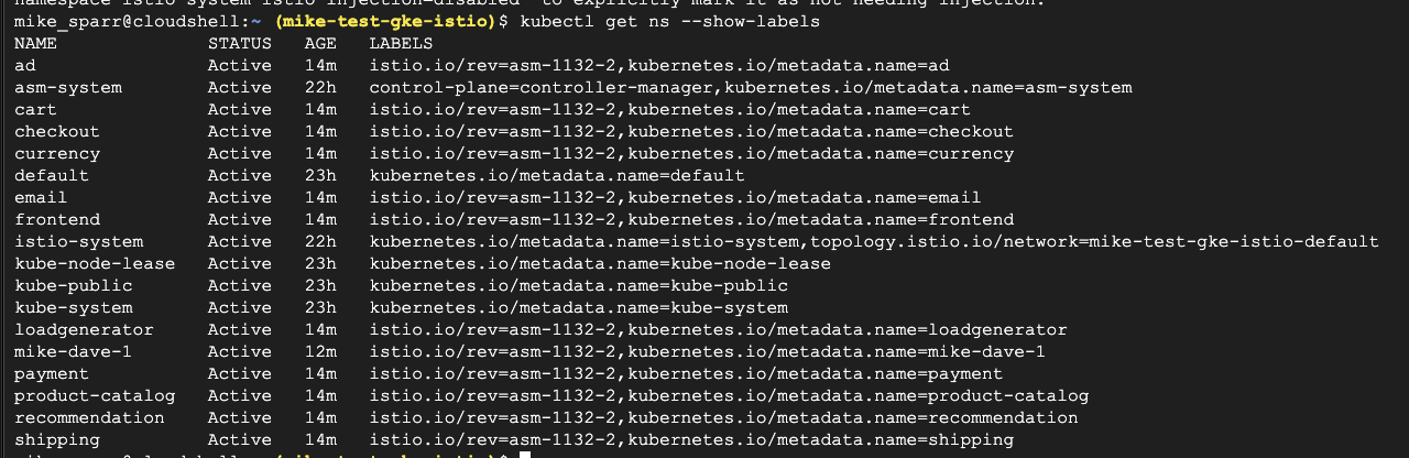 Testing out Anthos Service Mesh Quickstart · GitHub