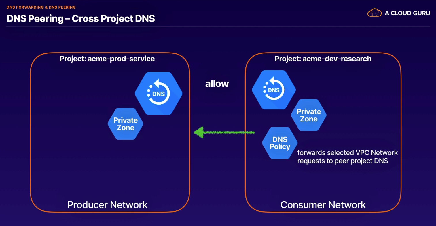 Screen Shot 2022-10-23 at 10 03 46 PM