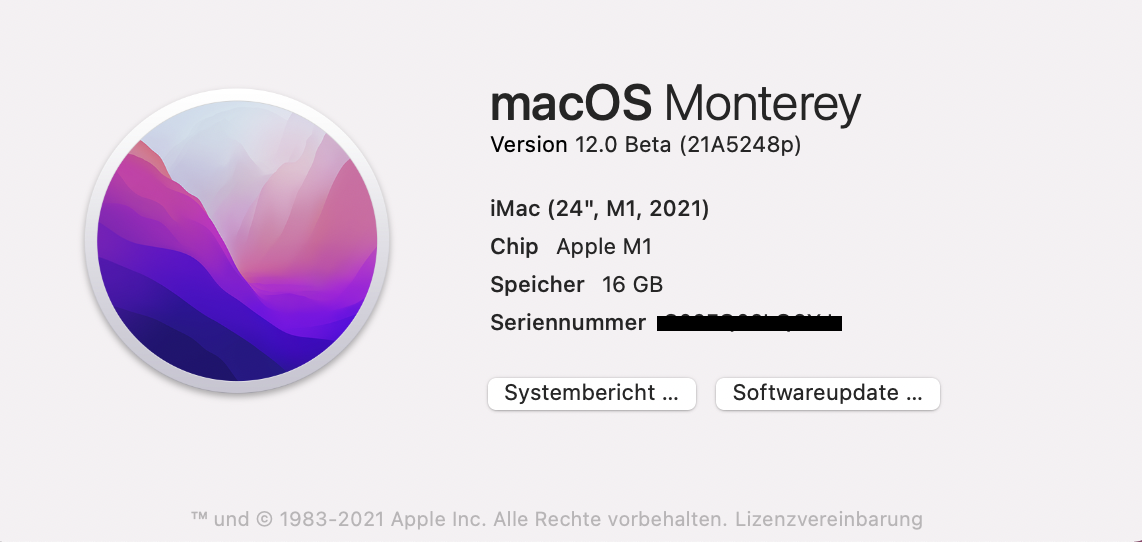 [1.17] Game crashes with Optifine & Shader on M1 Mac · Issue #5900 ...