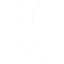 guedel