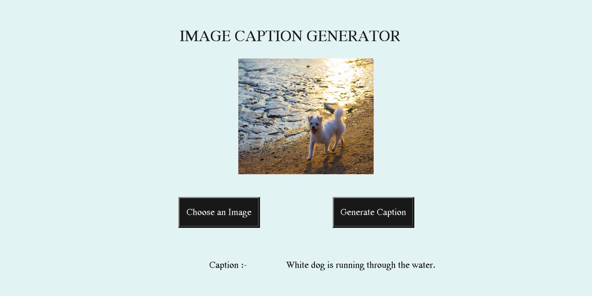 GitHub - Adnan18Ansari/ImageCaptionGenerator
