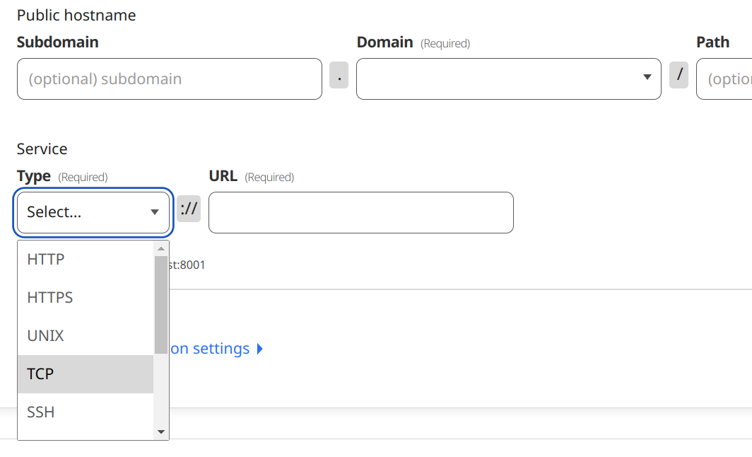Add option for udp protocol in argo tunnel · Issue 215 · cloudflare