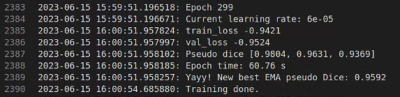 Using "all" for training, pseudo dice in training is too different from ...