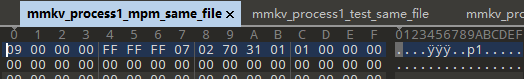 关于mmkv单个应用内多进程访问文件的问题 · Issue #838 · Tencent/MMKV · GitHub