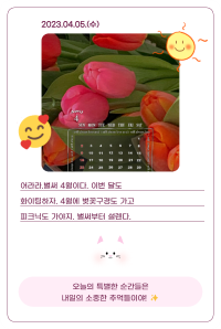 diary (22)
