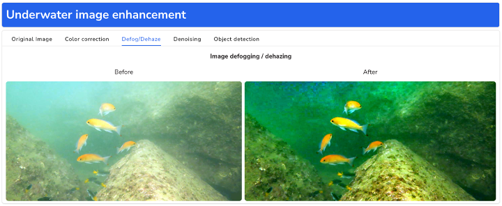 GitHub - Vidushi-Gupta/Underwater-Image-Enhancement: Major project for ...
