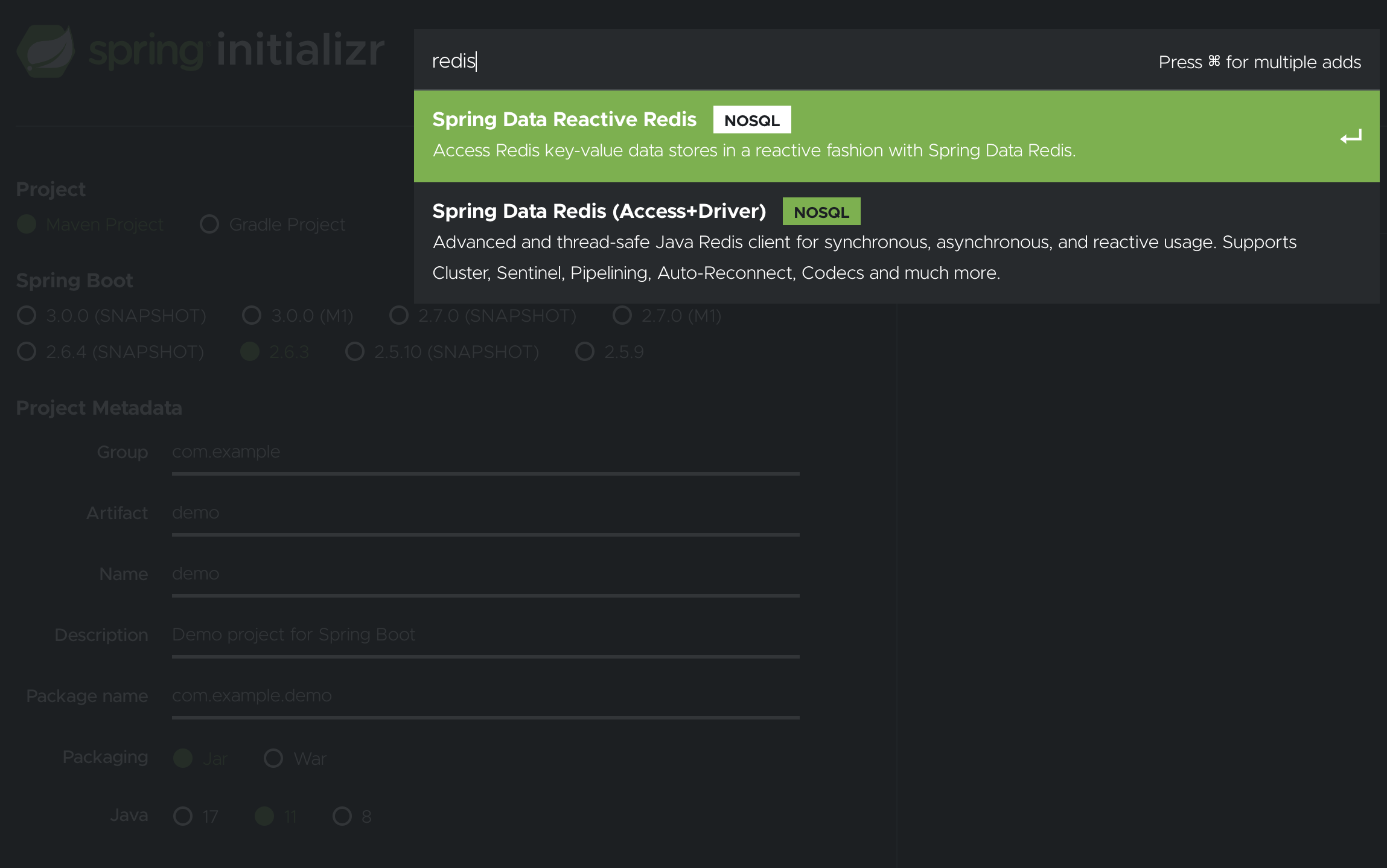 initalizr-redis