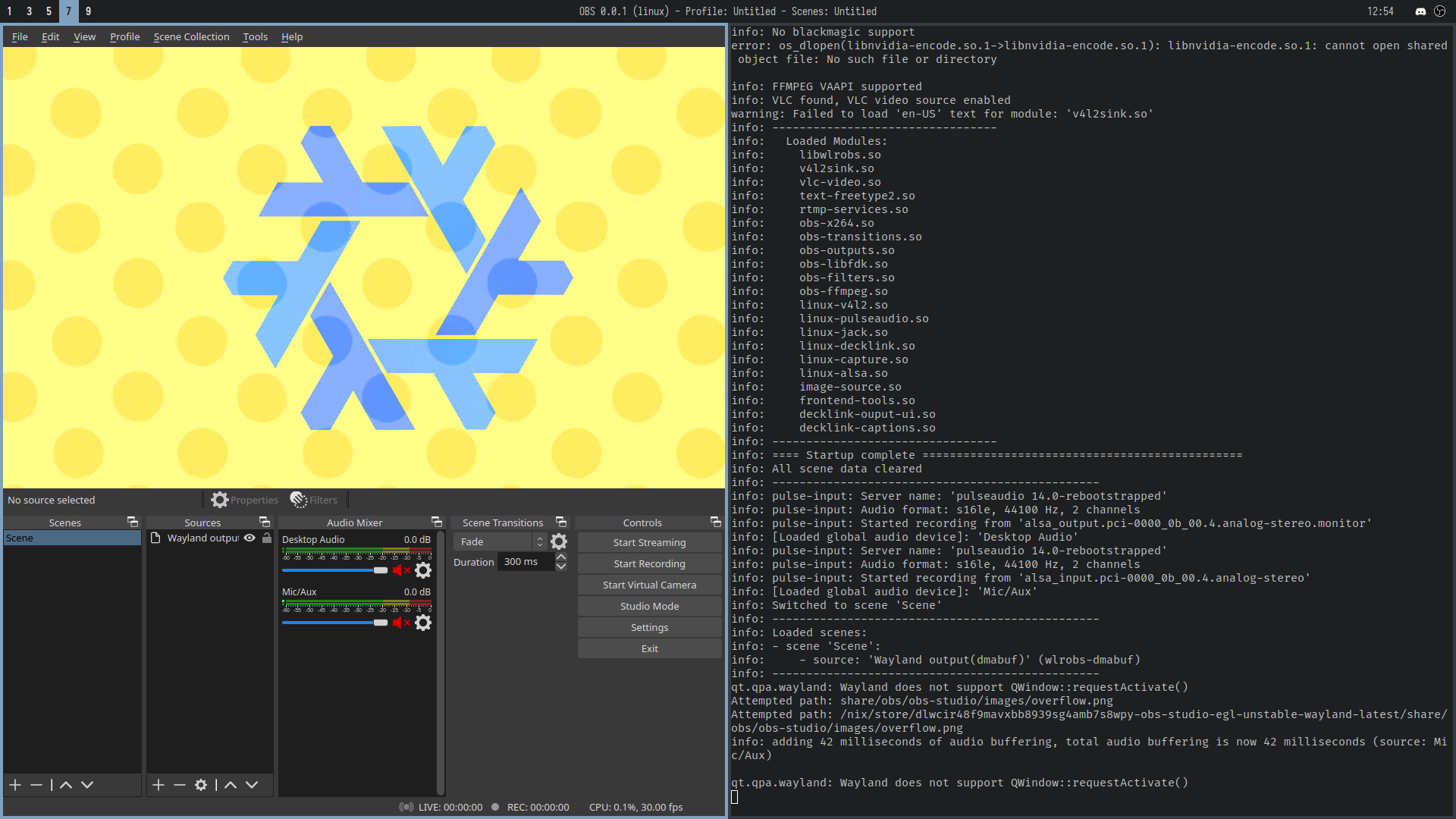 restoring obs from tray makes preview area hollow on wayland · Issue