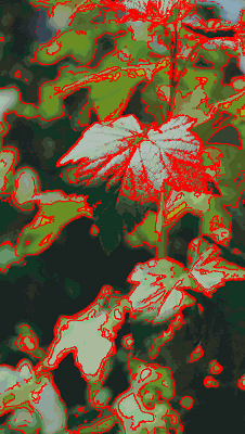 leaf_mov_orig1clrgrp_70_70resized