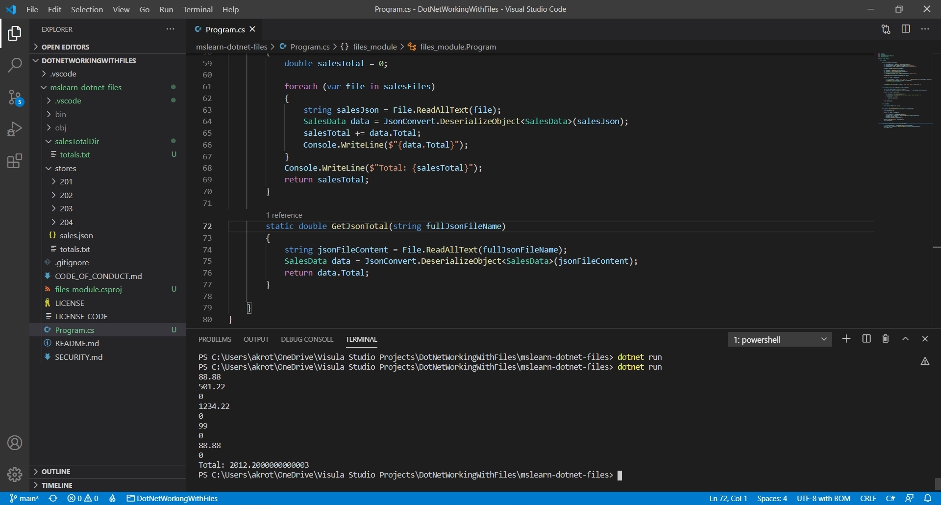 Program result locally in Visual Studio