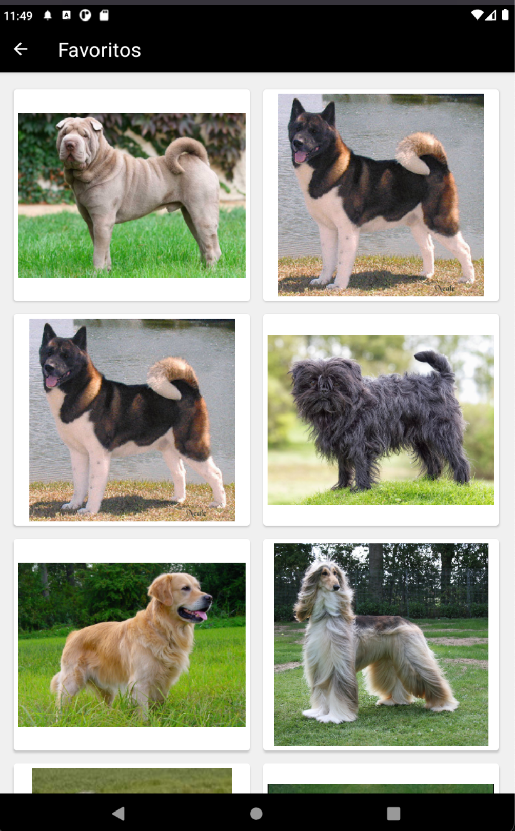 GitHub - GostavoSC/the-dog-api: The Dog Api