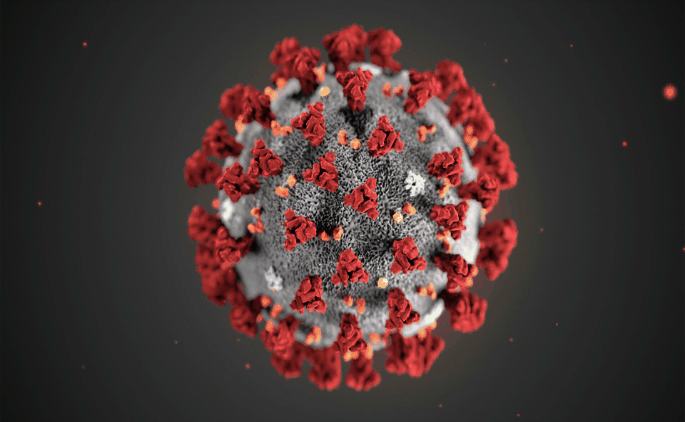 GitHub - VladimirSaenko/GIF-Coronavirus: GIF about coronavirus
